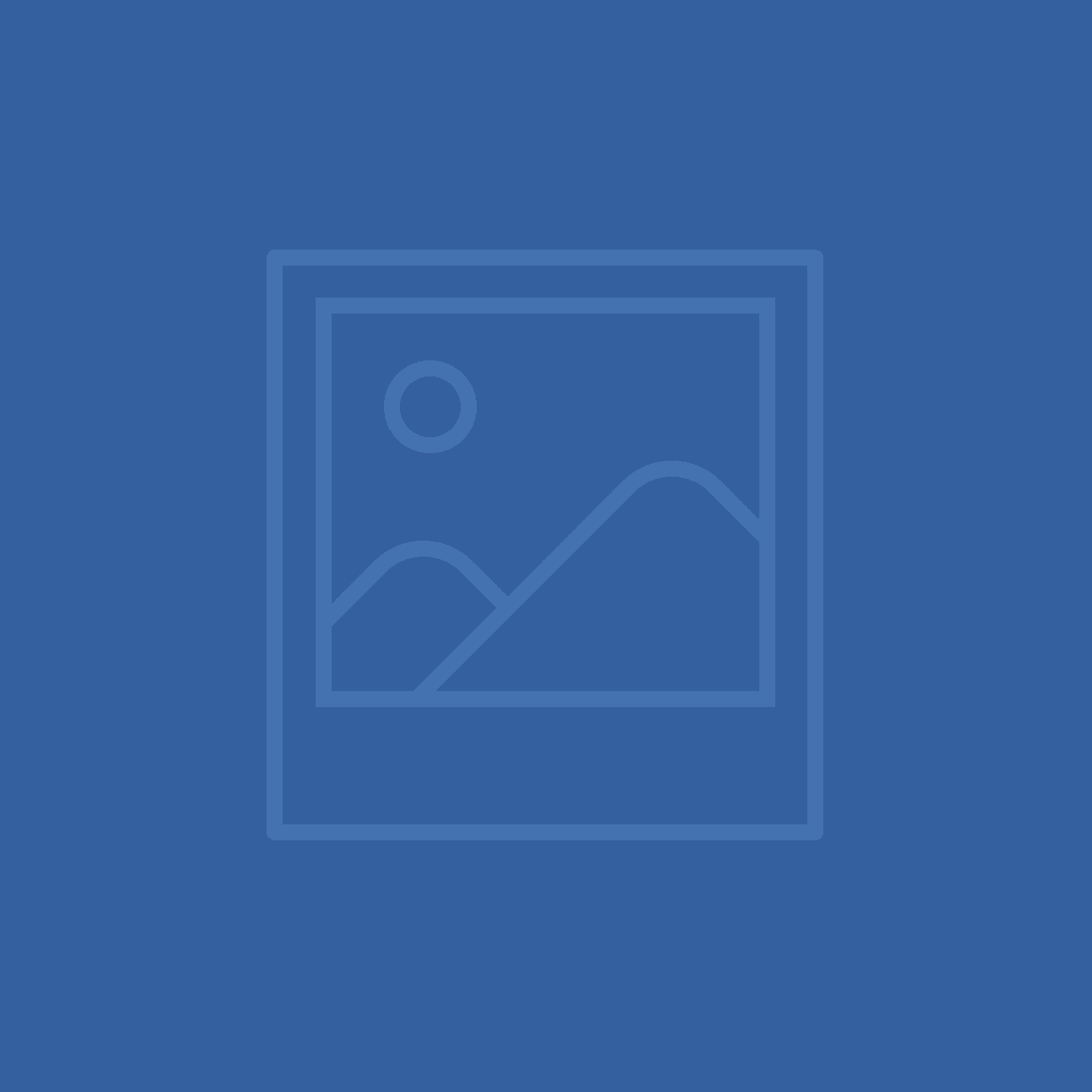 News,Insights