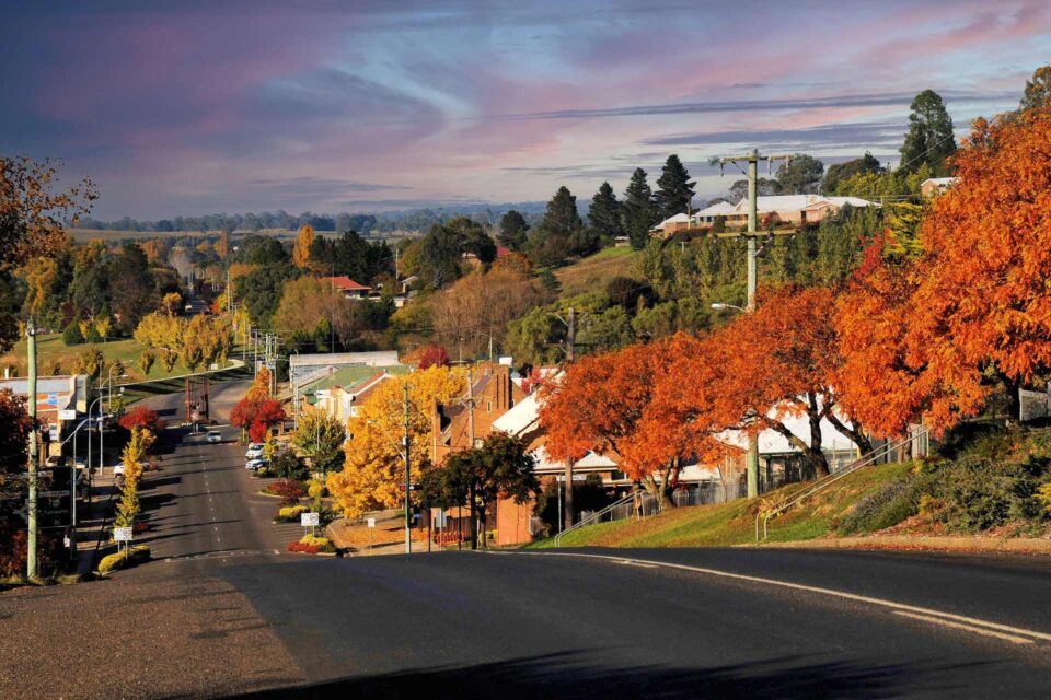 Walcha Land Use Strategy and Cumulative Impact Assessment